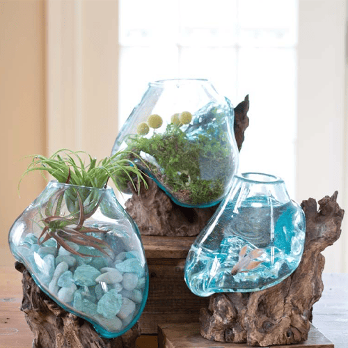 Glass Terrarium